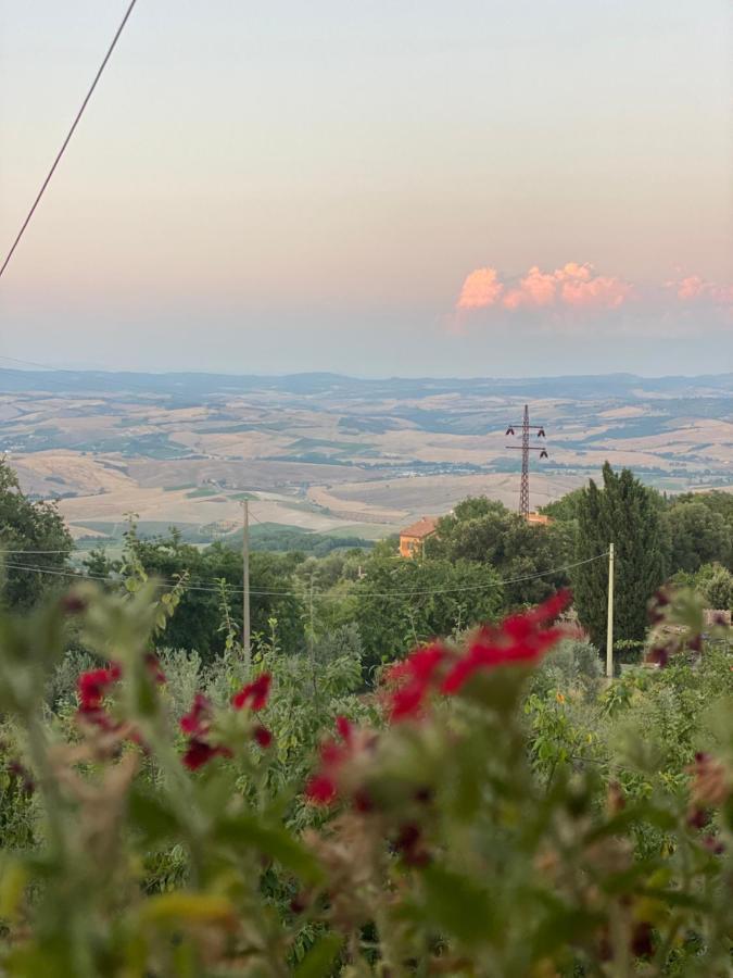 Podere Belsogno Montalcino Ngoại thất bức ảnh